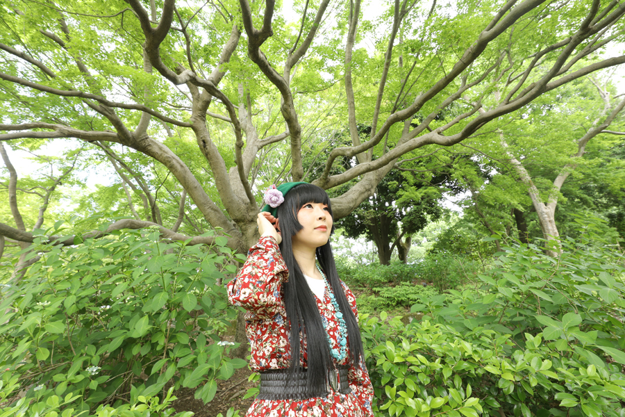 Canon EOS 5D MarkIV + EF16-35mm F2.8L III USM